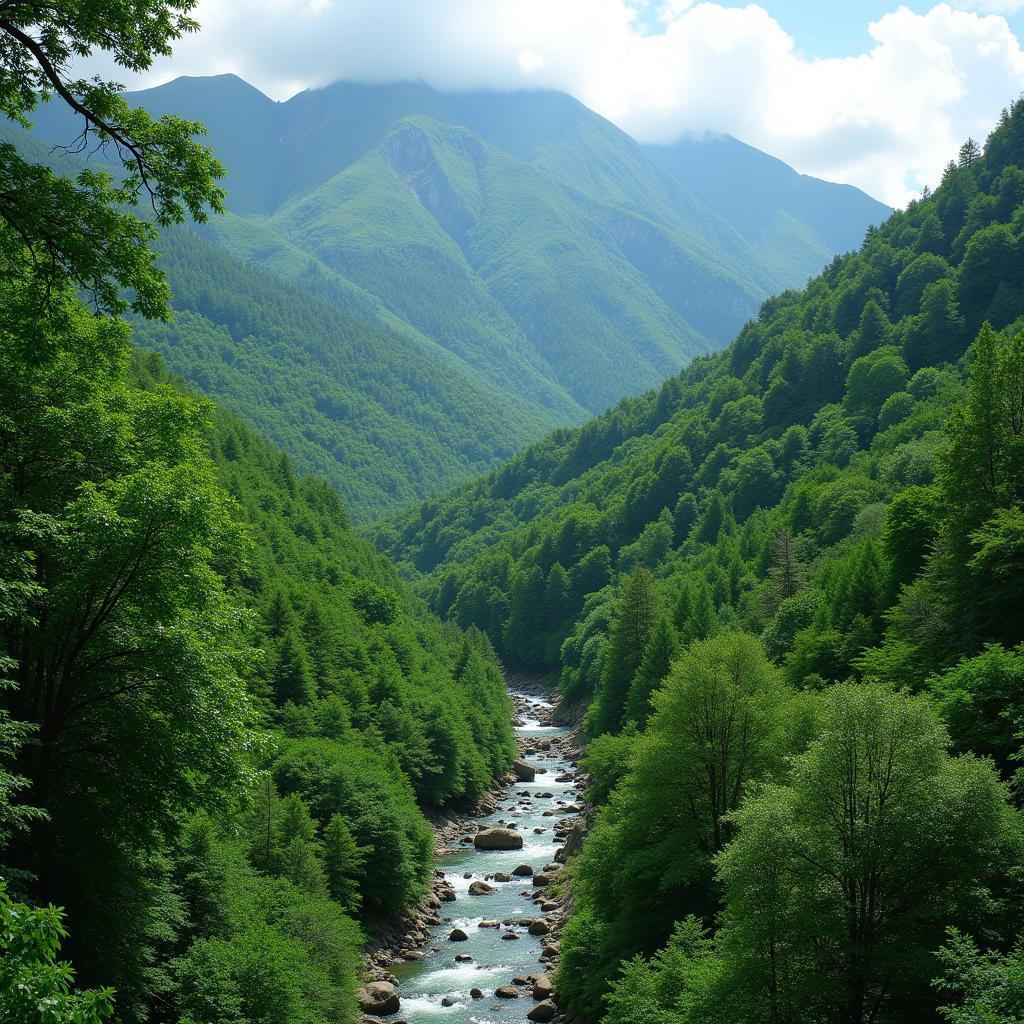 Protecting Headwater Forests