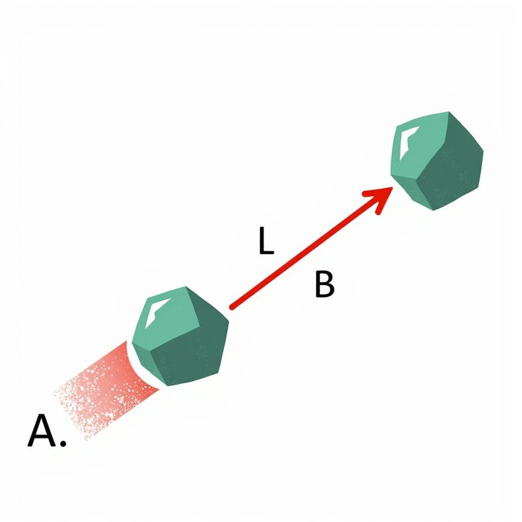 Minh họa Định luật 3 Newton