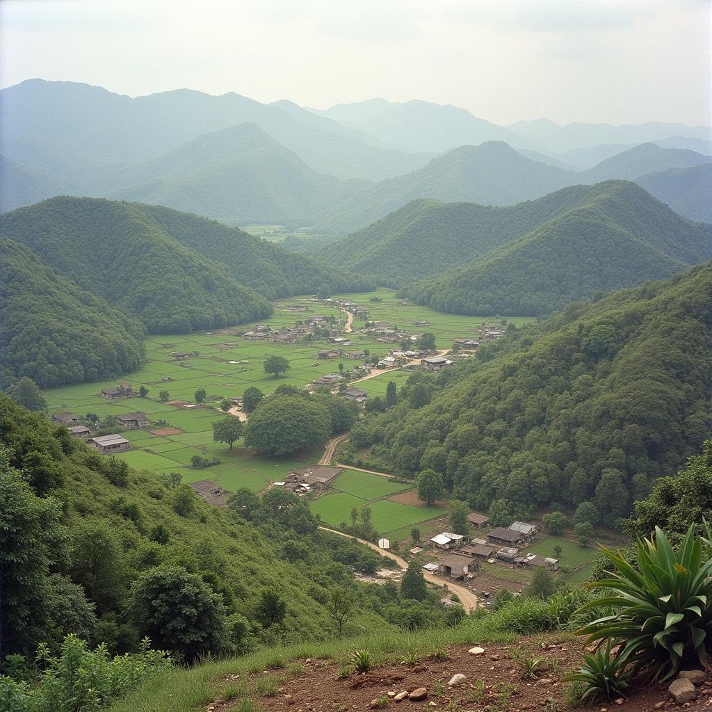 Quang cảnh nông thôn Việt Nam những năm 1950 với ruộng đất manh mún, nông dân lam lũ.