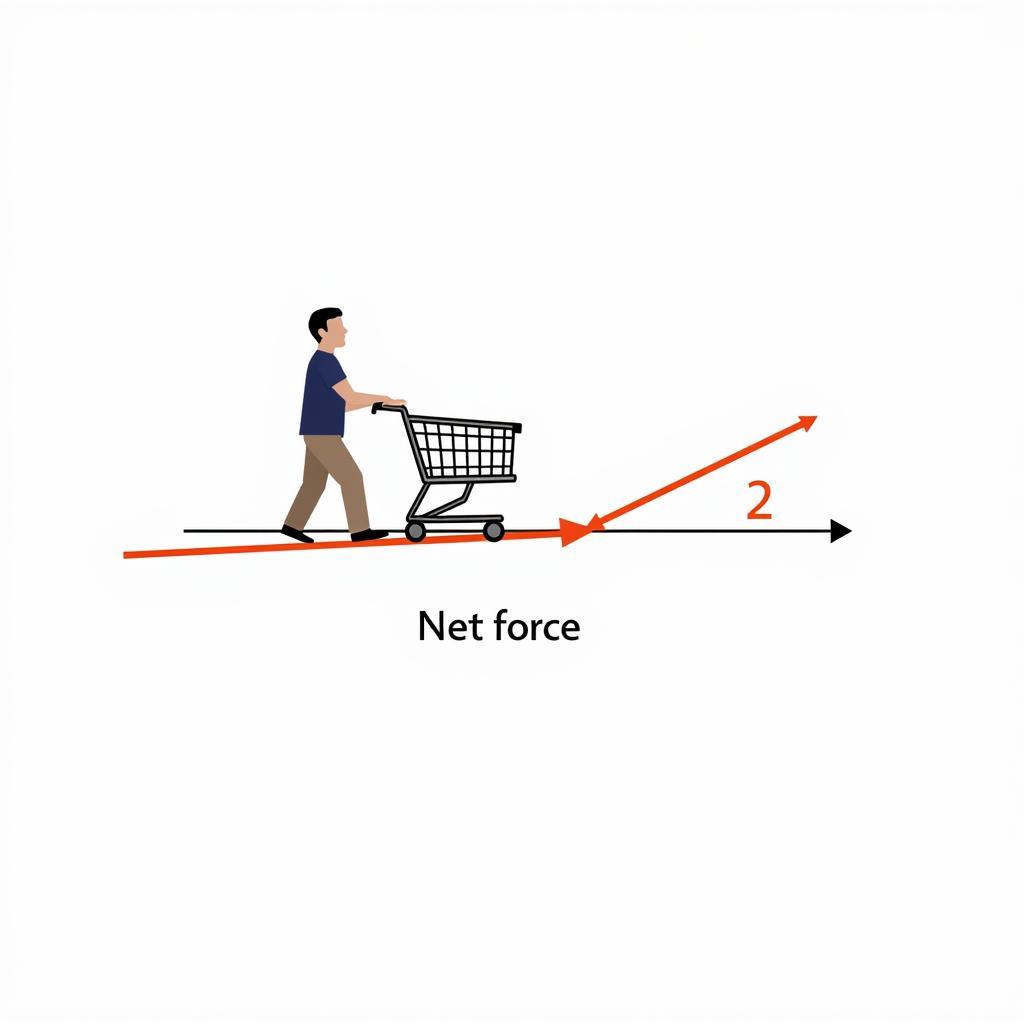 Áp dụng Định luật 2 Newton vào xe đẩy hàng