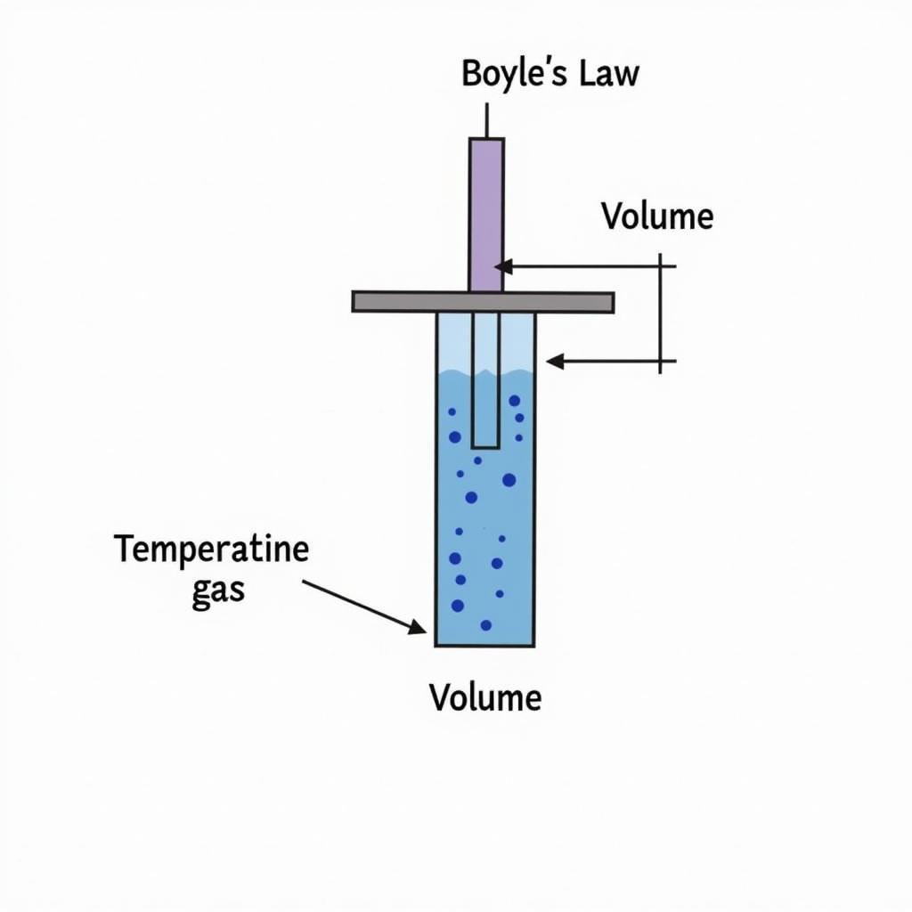 Mô tả Định luật Boyle-Mariotte