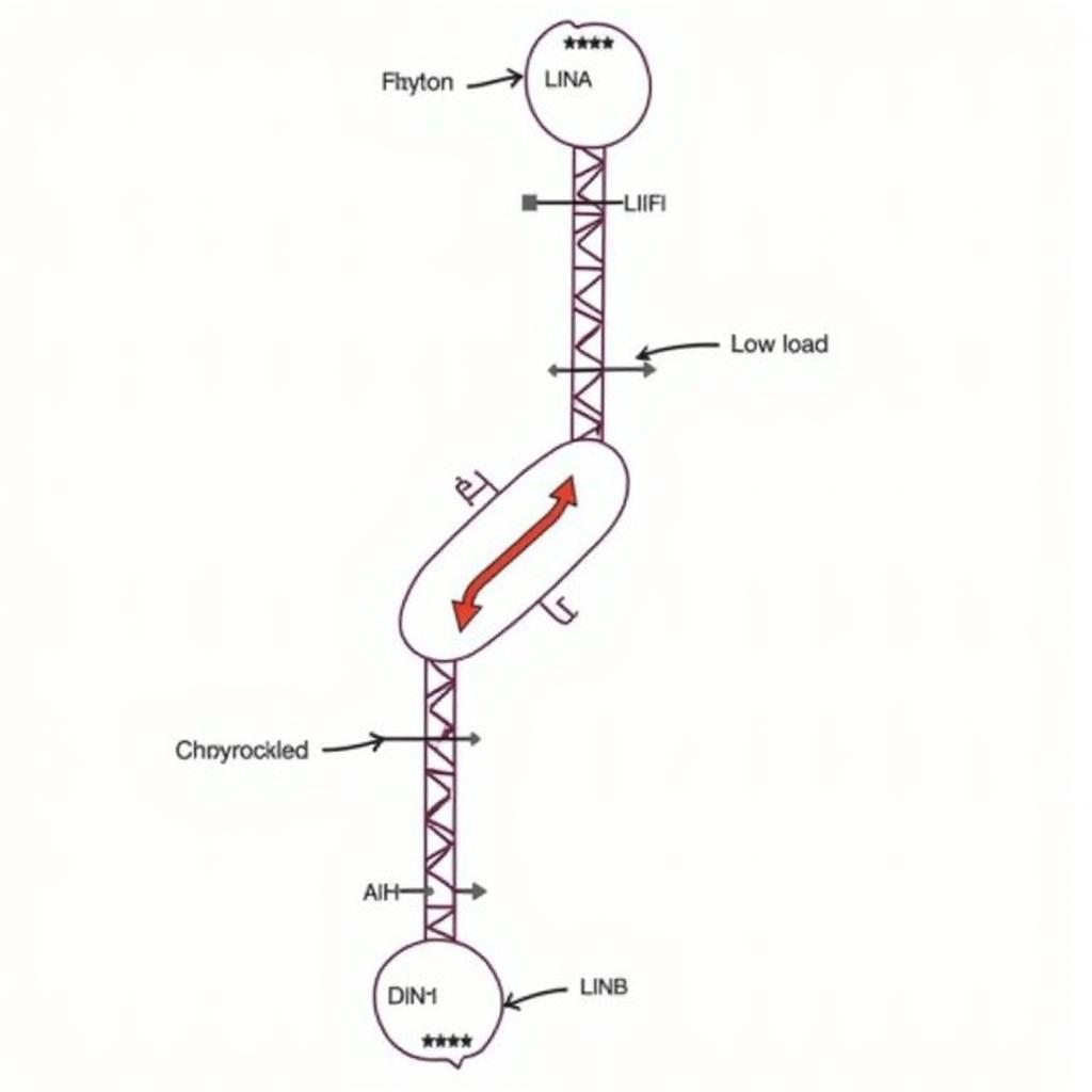 Ví Dụ Bài Tập Quy Luật Di Truyền