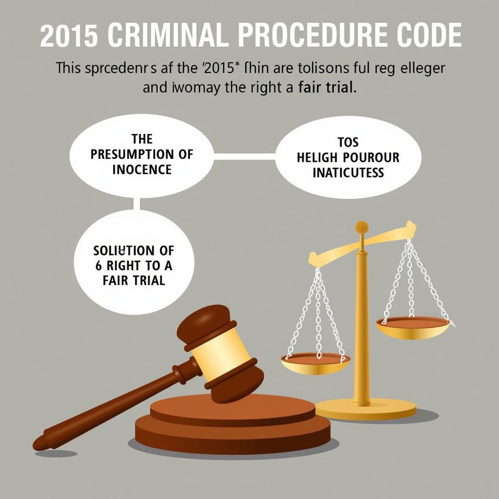 Principles of the 2015 Criminal Procedure Code